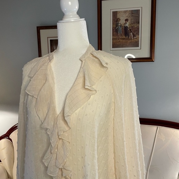 Zara Crème Ruffle Textured Button Down Blouse Size Medium - Picture 4 of 12